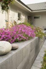 Benders Labyrint Maxi Skarp - Bild 4