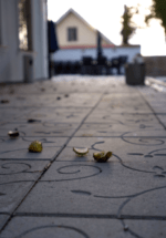 S:T Eriks Kaprifol - Bild 4