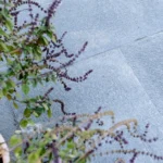 Offerdalsskiffer Hällar - Bild 3